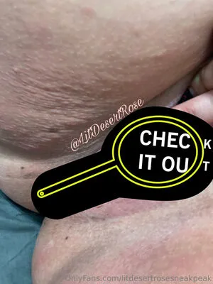 Litdesertrosesneakpeak OnlyFans Leaked Free Thumbnail Picture - #LnfDMgTIBi