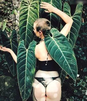 Little Sad Elf OnlyFans Leaked Free Thumbnail Picture - #gnKjYCsVHv