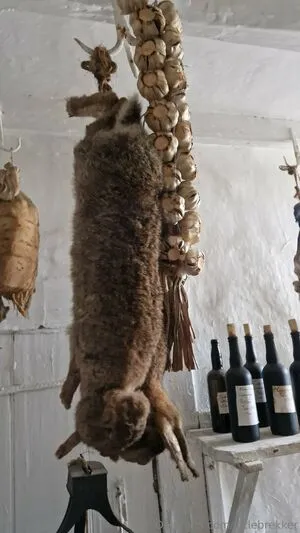 Littlebrekker OnlyFans Leaked Free Thumbnail Picture - #1ll0UPoyH7