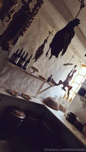 Littlebrekker OnlyFans Leaked Free Thumbnail Picture - #KMyZ1gsY8o