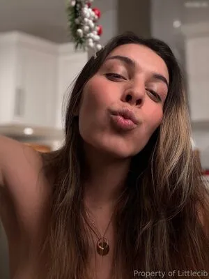 Littlecib OnlyFans Leaked Free Thumbnail Picture - #8xyDBbqoJY