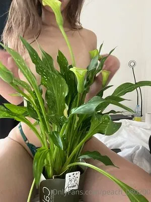 Littledisnay Free OnlyFans Leaked Free Thumbnail Picture - #bVBEv7KVH8
