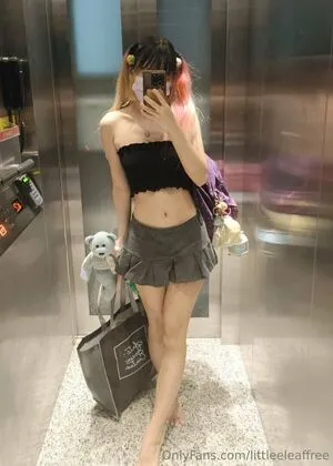 Littleeleaffree OnlyFans Leaked Free Thumbnail Picture - #86DqUnBu8a