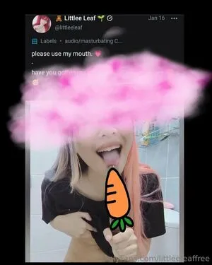 Littleeleaffree OnlyFans Leaked Free Thumbnail Picture - #imXZNWplPo