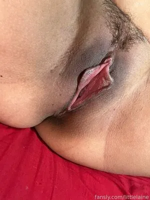 Littlelaine OnlyFans Leaked Free Thumbnail Picture - #KoUNj9kaxy