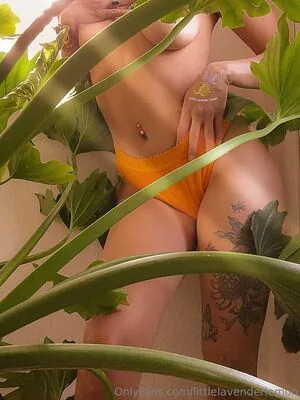 Littlelavenderlemon OnlyFans Leaked Free Thumbnail Picture - #VFMEZHeq9U