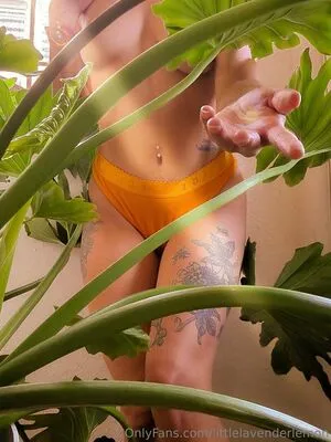 Littlelavenderlemon OnlyFans Leaked Free Thumbnail Picture - #f6Cc7JB65b