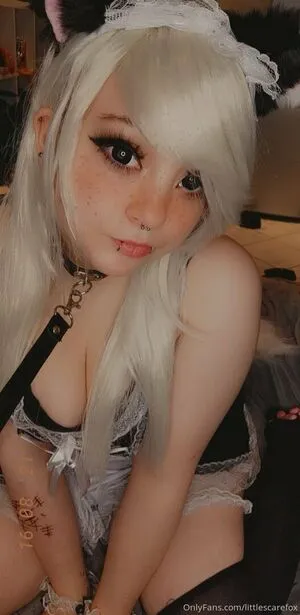 Littlescarefox OnlyFans Leaked Free Thumbnail Picture - #4ShVTwo3FX
