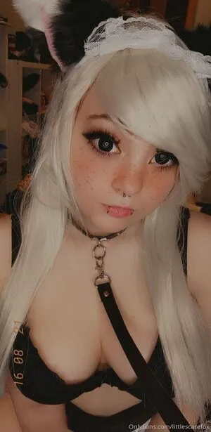 Littlescarefox OnlyFans Leaked Free Thumbnail Picture - #KmiYP5PXXe