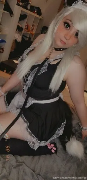 Littlescarefox OnlyFans Leaked Free Thumbnail Picture - #TzQkxdobo4