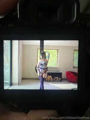 Littlewillowfree OnlyFans Leaked Free Thumbnail Picture - #aIxrviYGSr