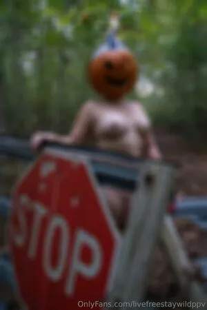 Livefreestaywildppv OnlyFans Leaked Free Thumbnail Picture - #PIuMq5ToNt