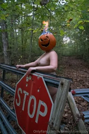 Livefreestaywildppv OnlyFans Leaked Free Thumbnail Picture - #SDE63i6Epk