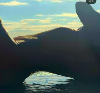 Livia Andrade OnlyFans Leaked Free Thumbnail Picture - #f6AS0nqOMs