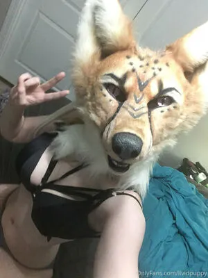Lividpuppy OnlyFans Leaked Free Thumbnail Picture - #3JnbaN6Bdf