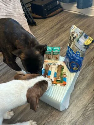 Livinlikeleesha OnlyFans Leaked Free Thumbnail Picture - #9xZKJGePVH