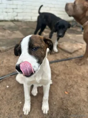 Livinlikeleesha OnlyFans Leaked Free Thumbnail Picture - #BEuxF0tgco