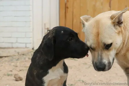 Livinlikeleesha OnlyFans Leaked Free Thumbnail Picture - #E4NN1VkCsD