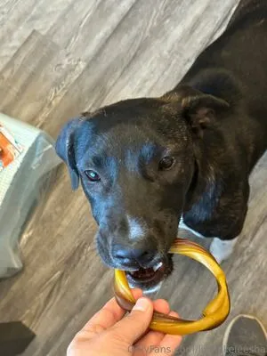 Livinlikeleesha OnlyFans Leaked Free Thumbnail Picture - #FS7xzZungx