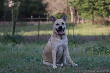 Livinlikeleesha OnlyFans Leaked Free Thumbnail Picture - #R9oyhAXaqQ