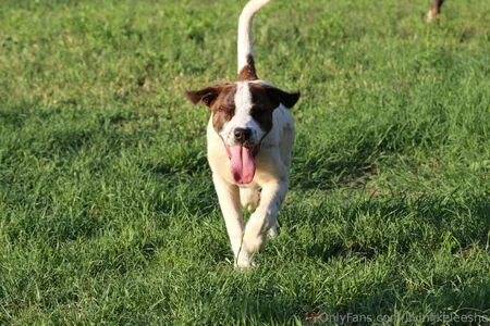 Livinlikeleesha OnlyFans Leaked Free Thumbnail Picture - #bVuZafb9OA