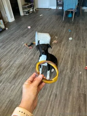 Livinlikeleesha OnlyFans Leaked Free Thumbnail Picture - #gCIO2BBmhG