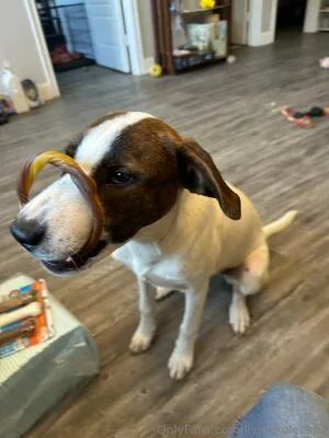 Livinlikeleesha OnlyFans Leaked Free Thumbnail Picture - #k8f2S00CP6