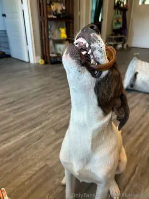 Livinlikeleesha OnlyFans Leaked Free Thumbnail Picture - #oMnsU9dwr8