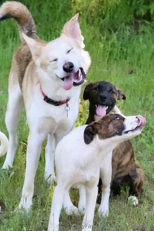 Livinlikeleesha OnlyFans Leaked Free Thumbnail Picture - #ovydqA4bZ2