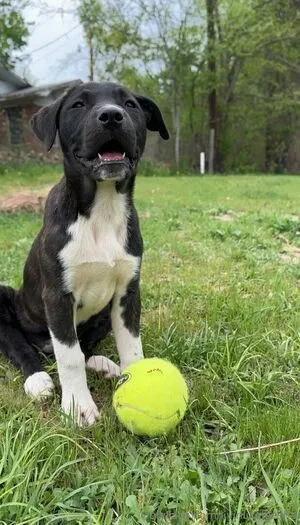 Livinlikeleesha OnlyFans Leaked Free Thumbnail Picture - #uYI4nud81U