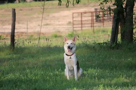 Livinlikeleesha OnlyFans Leaked Free Thumbnail Picture - #zfpOYbpHDF