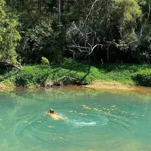 Livwwilliams OnlyFans Leaked Free Thumbnail Picture - #dmMGoOLpjd