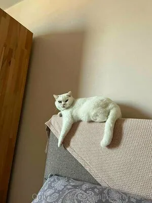 Localmasterpiece OnlyFans Leaked Free Thumbnail Picture - #oLoWwlYDai