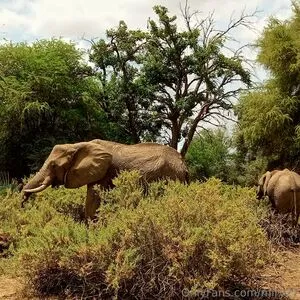 Lolasweetpussy OnlyFans Leaked Free Thumbnail Picture - #HFaDSs9ecm