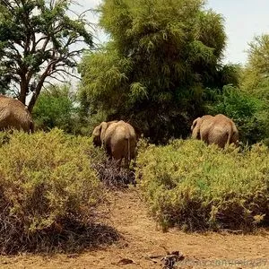 Lolasweetpussy OnlyFans Leaked Free Thumbnail Picture - #N9XaZR8gNZ