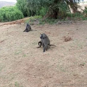 Lolasweetpussy OnlyFans Leaked Free Thumbnail Picture - #NrvESXBsL6