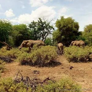 Lolasweetpussy OnlyFans Leaked Free Thumbnail Picture - #YeC3HBRiul