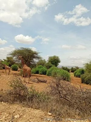 Lolasweetpussy OnlyFans Leaked Free Thumbnail Picture - #aerX6F5fE7