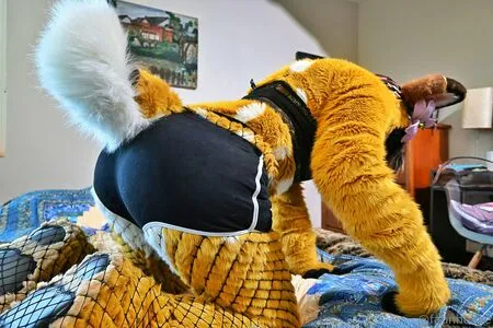 Lotuslafawn OnlyFans Leaked Free Thumbnail Picture - #9v3I88gMS2