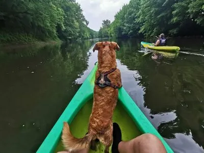 Lou Charmelle OnlyFans Leaked Free Thumbnail Picture - #4WLCLP0QED