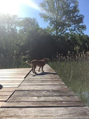 Lou Charmelle OnlyFans Leaked Free Thumbnail Picture - #vVNluqJLv0