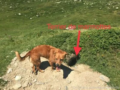 Lou Charmelle OnlyFans Leaked Free Thumbnail Picture - #zRjplkQwxS