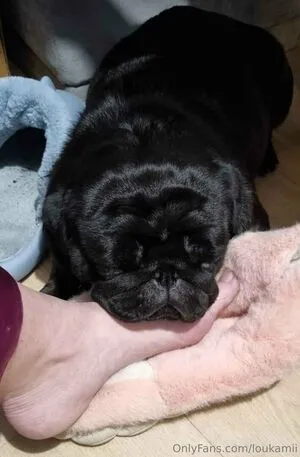 Loukamii OnlyFans Leaked Free Thumbnail Picture - #BRwGUZyLLJ