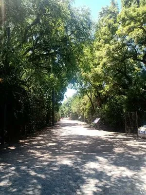 Luccawolf OnlyFans Leaked Free Thumbnail Picture - #IT1Jl6zsLm