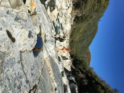 Lucinda Aragon OnlyFans Leaked Free Thumbnail Picture - #9axKu2nCkX