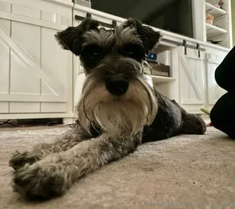 Lucky Sam OnlyFans Leaked Free Thumbnail Picture - #a1b77VrbBf