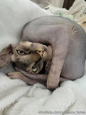 Lunaaura Home OnlyFans Leaked Free Thumbnail Picture - #0BGQDrV2Mm