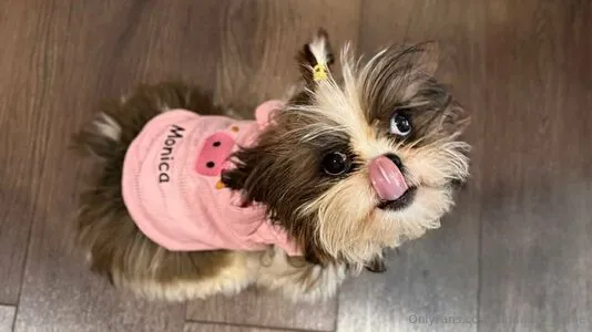 Lunaaura Home OnlyFans Leaked Free Thumbnail Picture - #TStjDkYACs