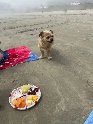 Lunarsirius OnlyFans Leaked Free Thumbnail Picture - #c2b5if2FLI