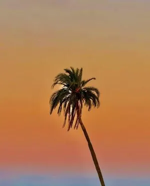 Lyndi Grace OnlyFans Leaked Free Thumbnail Picture - #MFpciMO9W9